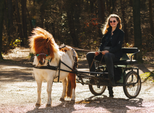 Myrthe (17) “Je ziet het niet vaak voorbij komen, een paard en wagen. Ik rij al paard sinds mijn negende, met die wagen ben ik vorig jaar pas begonnen”