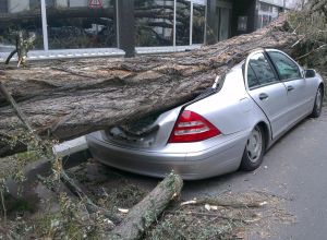 Hoe kun je stormschade zoveel mogelijk voorkomen?