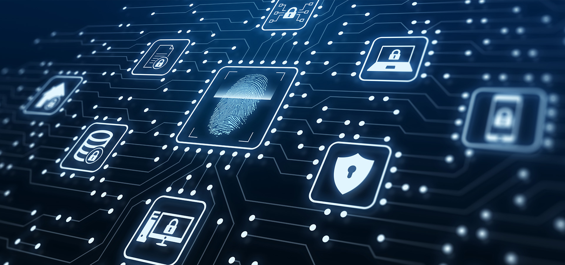 Feiten en cijfers over cybercriminaliteit op een rij   - Bovemij